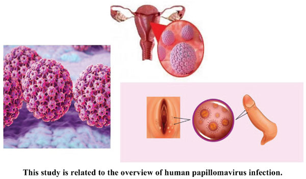 HPV Human Papillomavirus