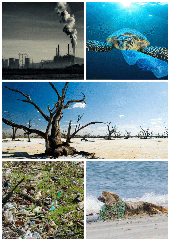 From waste to opportunity