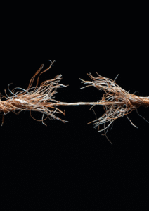 IJsmakerij Orvelter 7