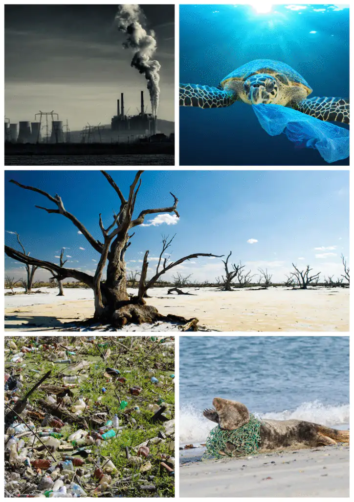 IJsmakerij Orvelter 3